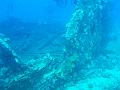 Unter Wasser (4)